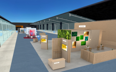 Transforming Exhibitions: The Power and Potential of an Online Exhibition Hall